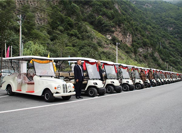 定制景區(qū)觀光車 定制景區(qū)觀光車